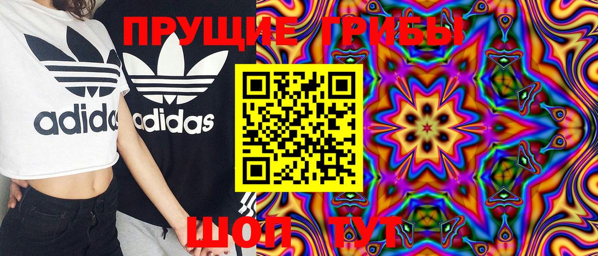 Гуково  Псилоцибиновые грибы Psilocybine cubensis  Вход с VPN 